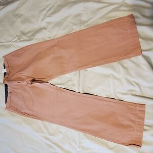 Stylish Pink Banana Republic Men's Chino Pants